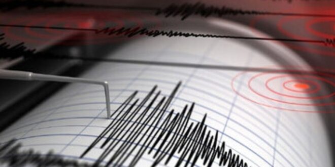 زمین لرزه شدید ترکیه را لرزاند