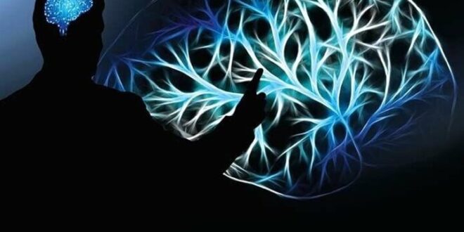 سلامت مردان در محیط کار؛ محور برنامه های نظارتی وزارت بهداشت