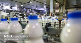 ضرورت ایجاد شبکه یکپارچه حلال در کشور