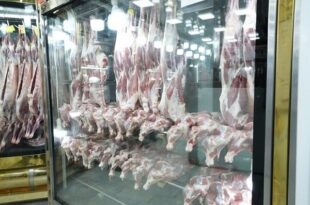 عرضه گوشت و مرغ با قیمت ۱۰ تا ۱۵ درصد زیر بازار در پاوه