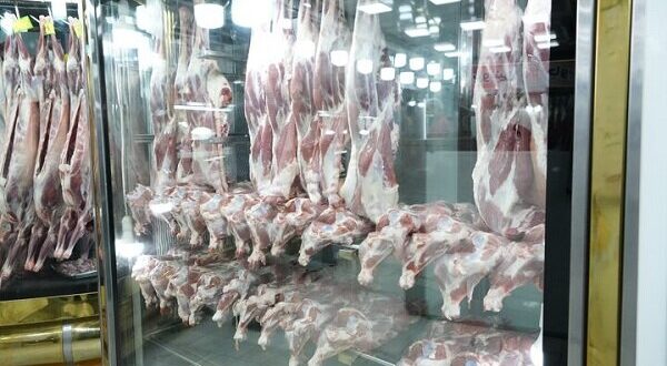 عرضه گوشت و مرغ با قیمت ۱۰ تا ۱۵ درصد زیر بازار در پاوه