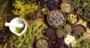 مصرف خودسرانه فرآورده‌های گیاهی خطرناک است 
