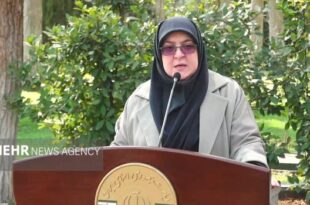 مهاجرانی: وقایع دانشگاهها، تورم و دهک‌های درآمدی در هیئت دولت بررسی شد