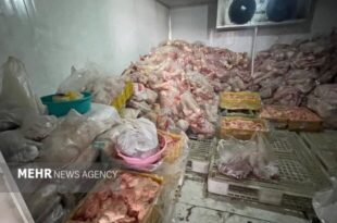پلمب سردخانه غیرمجاز و کشف فرآورده خام دامی فاسد در حاشیه تبریز