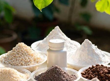 کود فسفر: همه چیز درباره مهم‌ترین عنصر رشد ریشه و گل‌دهی گیاهان