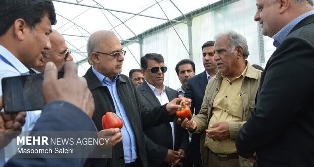 گلخانه ۲.۹ هکتاری فلفل دلمه‌ای رنگی در میناب افتتاح شد