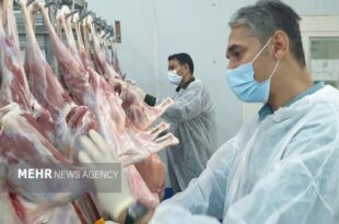 ۱۸ هزار و ۳۲۹ بازدید نظارتی توسط دامپزشکی استان زنجان انجام شده است