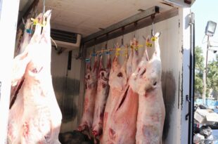 ۸ اکیپ ثابت و سیار دامپزشکی بر بازار دهلران نظارت دارند