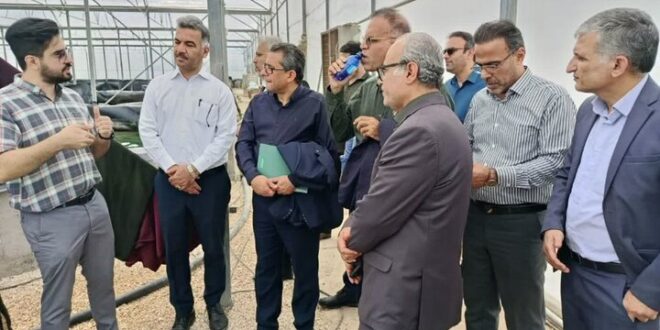 توسعه آبزی‌پروری نوین با محوریت تولید اسپیرولینا در استان بوشهر