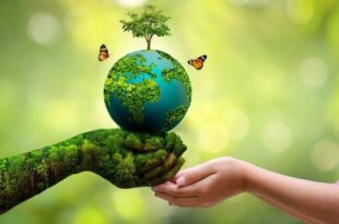 توصیه های محیط زیستی در روز طبیعت