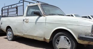 توقیف ۲ وانت مشکوک در میامی؛ ۴۳ رأس دام قاچاق کشف شد