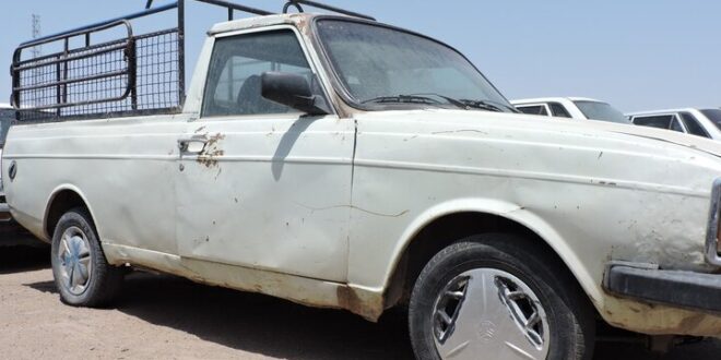 توقیف ۲ وانت مشکوک در میامی؛ ۴۳ رأس دام قاچاق کشف شد