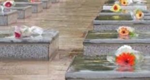 حیدری: استان بوشهر ۳ شهید جاویدالاثر دارد