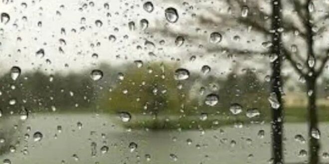 هشدار مهم برای این استان‌ها / رگبار و رعد و برق و وزش باد شدید در راه است