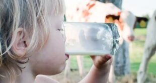 هشدار؛ تب مالت در بهار اوج می‌گیرد