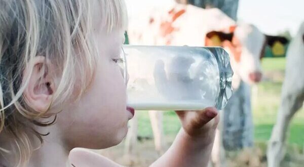 هشدار؛ تب مالت در بهار اوج می‌گیرد