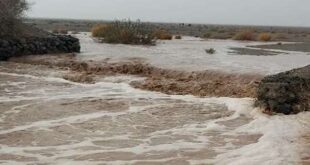 هماهنگی با ترکمنستان برای یافتن راننده تراکتور گرفتار سیل کلات