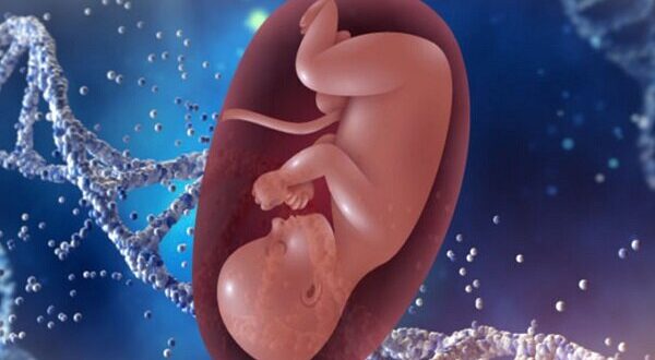 چشم‌انتظاری که با یک پیام تمام می‌شود