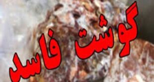 دامود: ۱۳۰ کیلوگرم فرآورده دامی غیرقابل مصرف در هرسین امحا شد