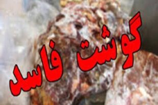 دامود: ۱۳۰ کیلوگرم فرآورده دامی غیرقابل مصرف در هرسین امحا شد