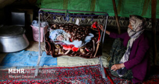 علوی‌مقدم: آمار عشایر خراسان شمالی از سال گذشته بلاتکلیف است