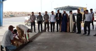 نظارت بهداشتی بر ذبح دام‌های قربانی در شهرستان دیر انجام شد