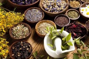 پاکسازی بدن در بهار طبق طب سینایی؛ ۵ معجزه ساده که آلرژی را ریشه‌کن می‌کند