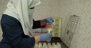 ۲۱۶ مادر داوطلب شیر اهدا کردند