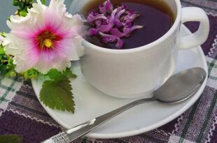 با این۳ گیاه سرفه‌های مداوم را درمان کنید