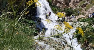 برگزاری کارگاه تخصصی گرمازدگی در مسیر کوهستانی آهار تا شکرآب