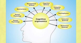 شناخت (Cognition) چیست ؟