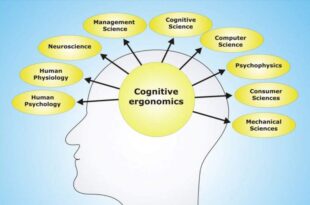 شناخت (Cognition) چیست ؟