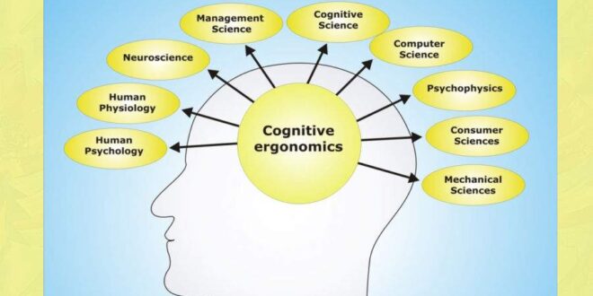 شناخت (Cognition) چیست ؟