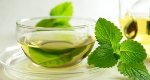 طب سنتی؛ مصرف به‌موقع عرق نعناع و تأثیر آن بر سلامت دستگاه گوارش