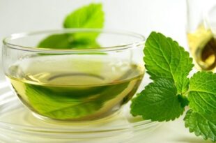 طب سنتی؛ مصرف به‌موقع عرق نعناع و تأثیر آن بر سلامت دستگاه گوارش