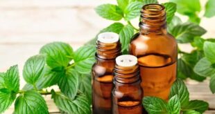 روغن این گیاه فشارخون بالا را ۲۰ روزه بهبود می‌بخشد
