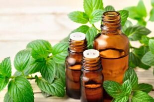 روغن این گیاه فشارخون بالا را ۲۰ روزه بهبود می‌بخشد