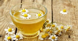 مهم ترین راهکارهای طب ایرانی برای پیشگیری از خستگی و گرمازدگی در تجمعات انبوه