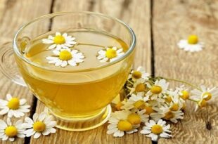 مهم ترین راهکارهای طب ایرانی برای پیشگیری از خستگی و گرمازدگی در تجمعات انبوه