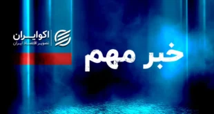 مهم/ پیش فروش خودروهای وارداتی در کدام مناطق ایران ممنوع است؟