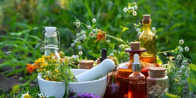 هشدار درباره باور غلط بی‌ضرر بودن داروهای گیاهی