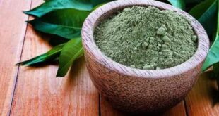 پروتئین درمانی مو در خانه با 3 ماسک ارزان قیمت