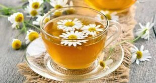 بابونه برای خواب مفید است؟ یافته‌های علمی درباره یک دمنوش سنتی