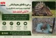 برخورد قاطع محیط‌بانان کهگیلویه و بویراحمد با شکارچیان؛ ۷ تشی کشف شد