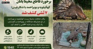 برخورد قاطع محیط‌بانان کهگیلویه و بویراحمد با شکارچیان؛ ۷ تشی کشف شد
