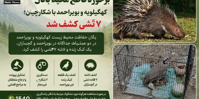 برخورد قاطع محیط‌بانان کهگیلویه و بویراحمد با شکارچیان؛ ۷ تشی کشف شد
