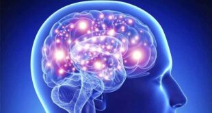 به چه علت مغز اشتباهات را توجیه می‌کند؟
