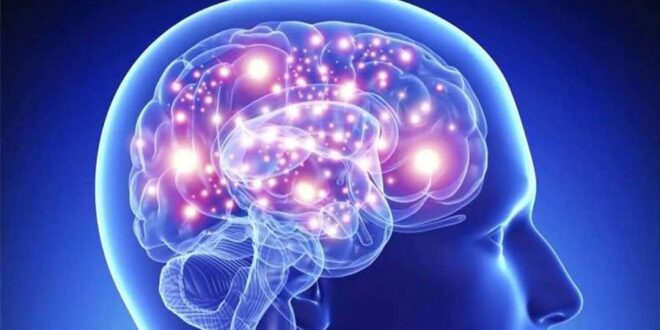 به چه علت مغز اشتباهات را توجیه می‌کند؟