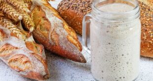 طرز تهیه نان خمیر ترش؛ طعمی که هرگز فراموش نخواهید کرد
