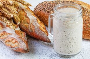 طرز تهیه نان خمیر ترش؛ طعمی که هرگز فراموش نخواهید کرد